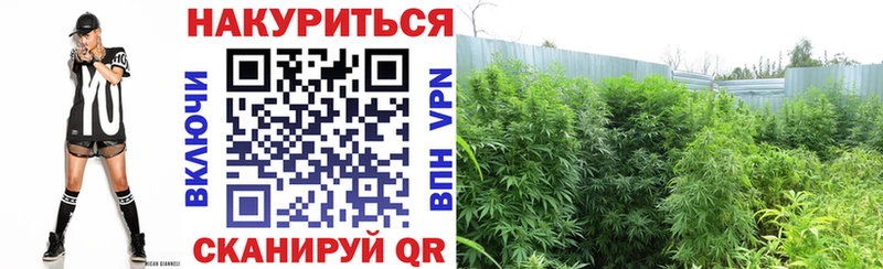 это какой сайт  Юхнов  Канабис Bruce Banner 